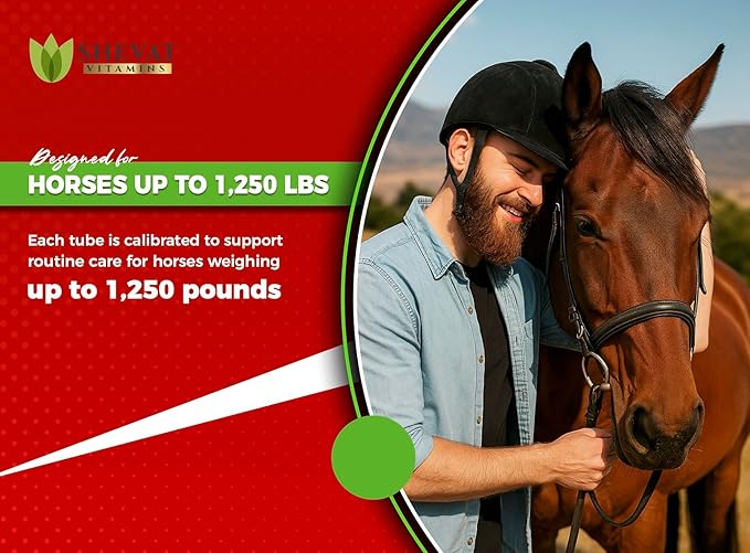 Ivermectin Horse Paste 1.87% – Apple Flavored – 6.08g Tube – for Horses Up to 1250 lb - 1 Pack