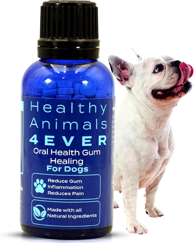 HA4E - Dog Oral Health Supplement - Relieves Inflammation, Soothes Pain & Fights Gum Disease - Natural, Non-GMO, Organic, Gluten-Free & Chemical-Free - 300 Tablets