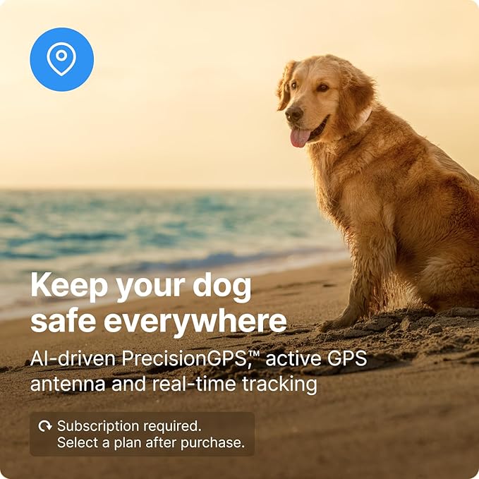 Halo Collar 3, Multifunctional GPS Wireless Dog Fence & Dog Training Collar with GPS Tracker, Subscription Required, Waterproof, Sunburst (Small)