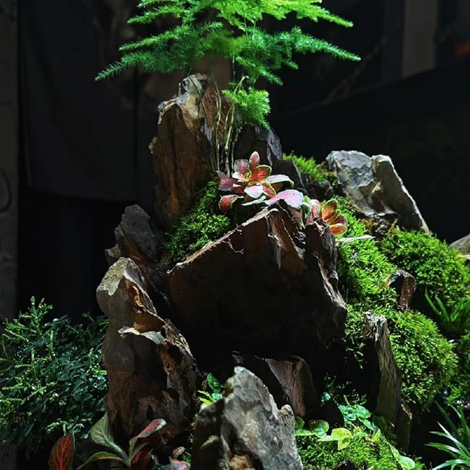 kecilke Natural Aquarium Rocks 2-8 inches Dragon Stone Rock for Aquariums, Landscaping Model,Tank Decoration, Amphibian Enclosures-Dragon Stones