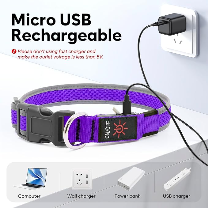 LED Dog Collar, Light Up Dog Collar USB Rechargeable, Brightest Dog Lights for Night Walking, Adjustable Dog Collar Light for Dog Safety (Purple, Medium)