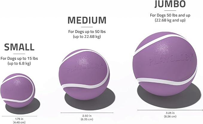 Playology Dog Toys | Squeaky Chew Ball - Squeaky and Bouncy Durable Floating Fetch Ball for Dogs | Medium Bacon Scented Toy - Easy to Clean and Made from Non Toxic Materials