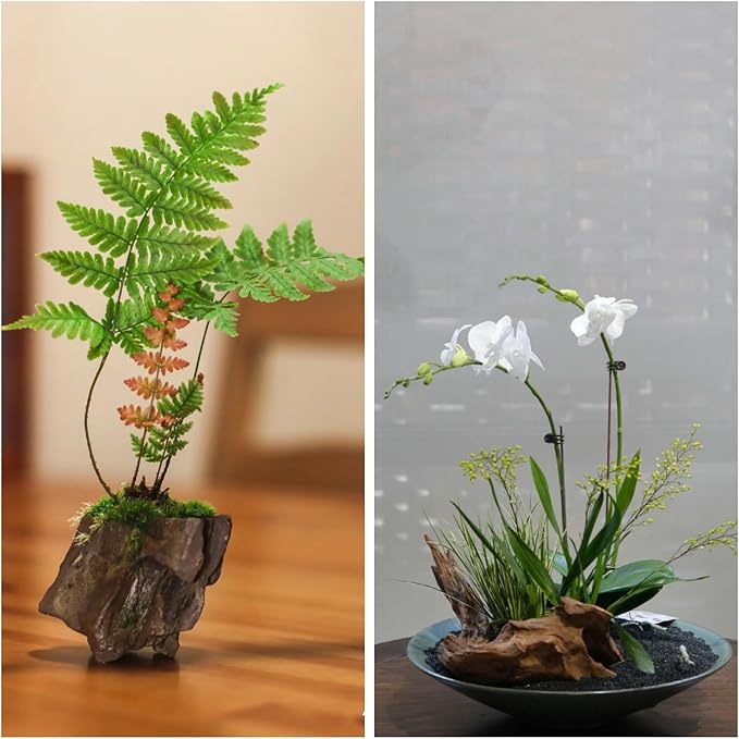 kecilke Natural Aquarium Rocks 2-4 inches Dragon Stone Rock for Aquariums, Landscaping Model,Tank Decoration, Amphibian Enclosures-Dragon Stones-5LB