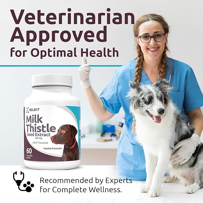 K9 Select Milk Thistle for Dogs, 100mg - 60 Beef Flavored Tablets - Canine Liver Health Natural Milk Thistle Supplement