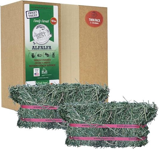 Grandpa's Best ALF10 10 lb Alfalfa Hay Bale (Packaging may vary )