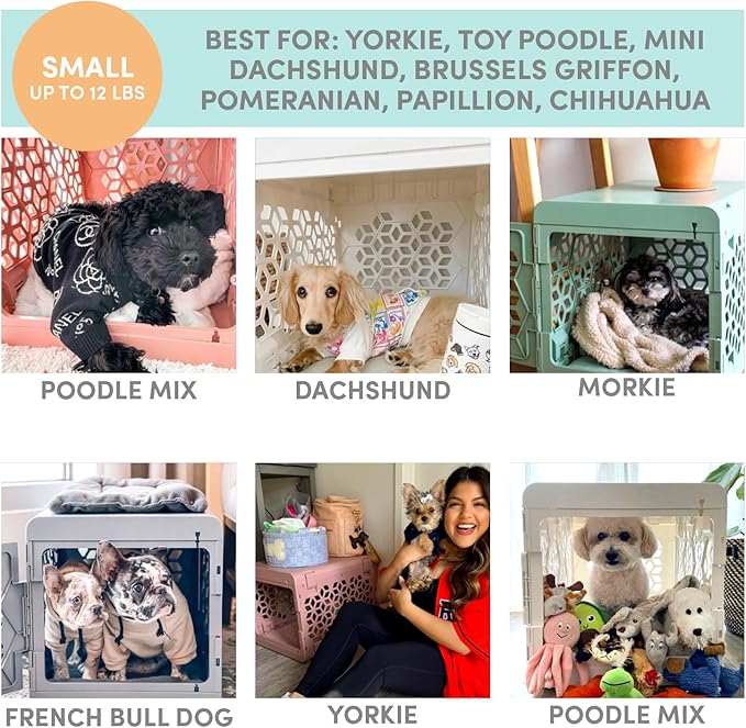 KindTail PAWD Collapsible Puppy and Dog Crate + Washable Bed - Stylish Pet Kennel with Comfortable Pad - Safe Indoor Set - Lightweight, Compact & Portable for Travel - Small White