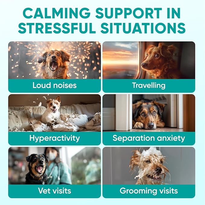 Hemp Calming Chews for Dogs - Dog Calming Chews for Anxiety Relief, Stress, Separation, Fireworks, Thunder, Travel, Vet Visits - USA Product - 120 Soft Treats with Melatonin, Chamomile, Passion Flower