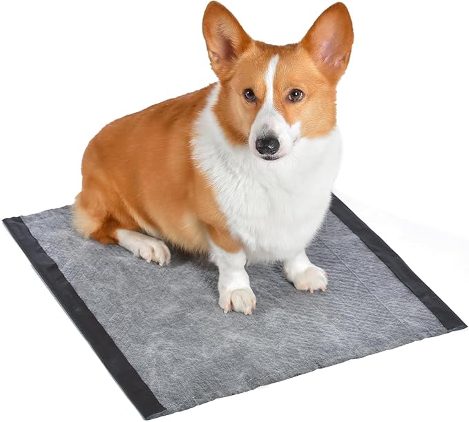 Glad for Pets Dual Action Freshness Activated Carbon Puppy Training Pads with Fragrance Release, Scented Pee Pads, Ultra Absorbent, Odor Control, 23"x23" 100ct - 2 Pack