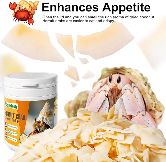 Hermit Crab Food - Baked Coconut Treat, Natural Dried Coconut for Crab Healthy & Additive Free, Easily Digestible Hermit Food Hermit - Ideal Crab Pet Snacks, Crab Accessories Crispy & Delicious | 60g