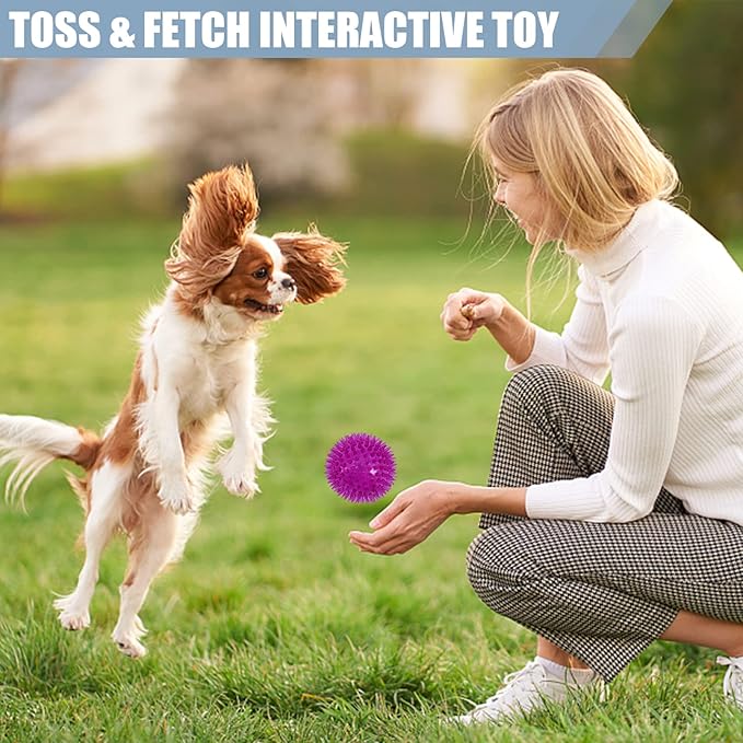 12Pack Squeaky Toys, 2.5" Spiky Ball, Cleans Teeth, Squeaky Balls for Aggressive Chewers, Bright Color Toys for Small, Medium & Large Dogs