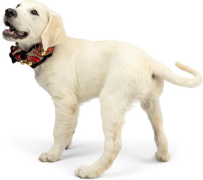Huxley & Kent Ruff Pet Scrunchy | Shiny Christmas Plaid (Medium) | Festive Christmas/Holiday Neckwear for Dogs/Cats | Fun Stretchable Costume Accessory | Soft Collar with Bells
