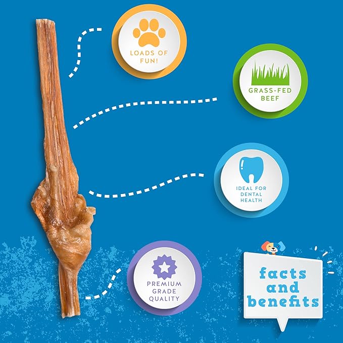 Jack&Pup Dog Bully Sticks for Small Dogs - 6 Inch Junior Bully Sticks for Dogs (25 Pack) Great Bully Stick for Teething Puppies