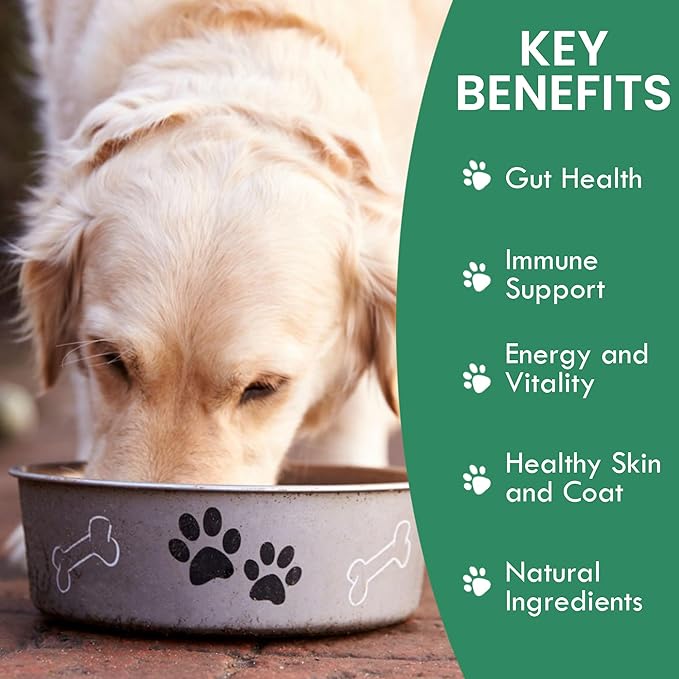 HOLISTIC BIN Canine Gut Biome Powder – Prebiotics & Probiotics for Dogs with Enzymes – Dog Vitamins & Multivitamin for Gut Health – Enzyme Powder Supplement – for Digestive Support - 50 Grams