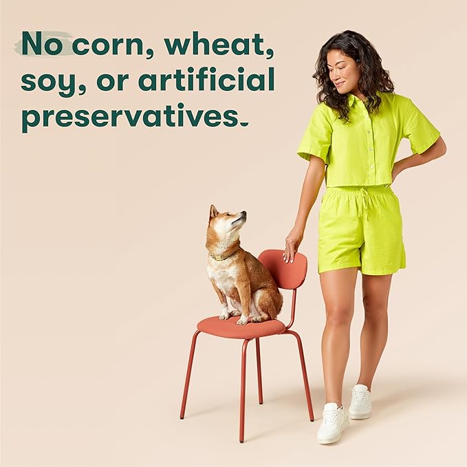 Jinx Bone Broth Stew for Dogs - Beef & Vegetables Recipe - Grain-Free Wet Dog Food & Topper for Picky Eaters - Promotes Lean Muscle Growth, A Healthy Coat & Improved Digestion - 13 Oz, 12 Pack