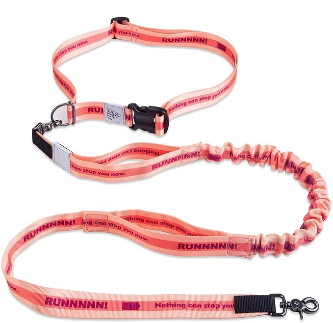 Hands Free Dog Leash with Waist Belt Lifetime Replacement, Dual Handle Bungee Leash for Running, Jogging, Hiking and Walking, for Medium and Large Dogs 5118