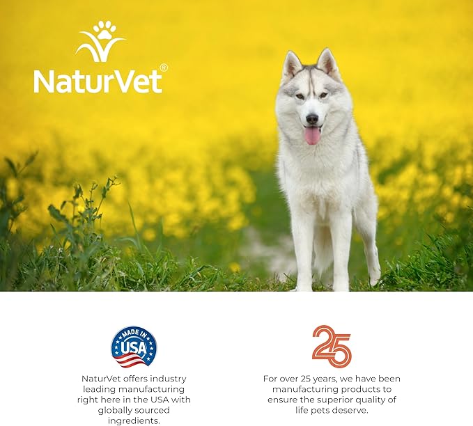 NaturVet Hemp Hypoallergenic Shampoo with Oat and Aloe for Dogs, 16oz Liquid, Made in The USA
