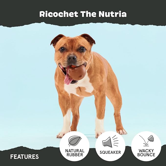 Barkbox Ricochet The Nutria Dog Toy – All-Rubber Design with Fun Squeak, Perfect for Enthusiastic Chewers and Durable Playtime