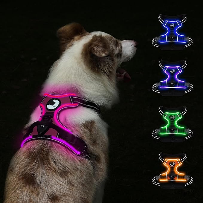 Taglory Light Up Dog Harness, Rechargeable No Pull Dog Vest with 3 Lightning Modes, Reflective Dog Harness with 2 Leash Clips & 4 Adjustable Slide Strips for Medium Dogs, Hotpink-Hotpink, M