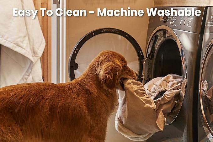 K9 Ballistics Tough Rip-Stop Orthopedic Rectangle Dog Bed Removable Washable Cover, Solid Orthopedic Foam for Size S Dogs 24"x18", Blue Quartz