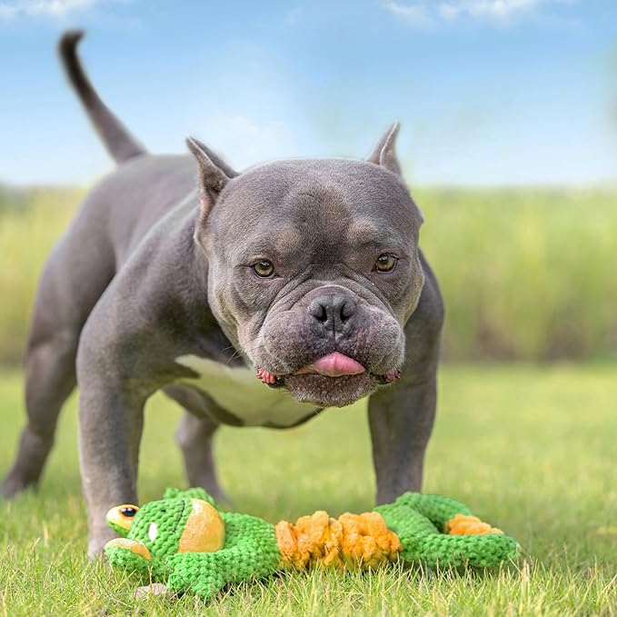 Dog Tug Toy, Durable Dog Toys Large Breed, Tug of War Dog Squeaky Toy, Stuffed Plush Dog Toys with Crinkle Paper for Small, Middle, and Big Dogs(Tug of War Series, Frog)