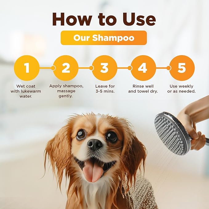Honey & Oatmeal 16.9 oz Pet Shampoo for Dogs, Soothing Natural Formula with Colloidal Oatmeal, Aloe & Honey - Relieves Itchy Dry Skin, No Sulfates or Parabens, Gentle, Chamomile Scented