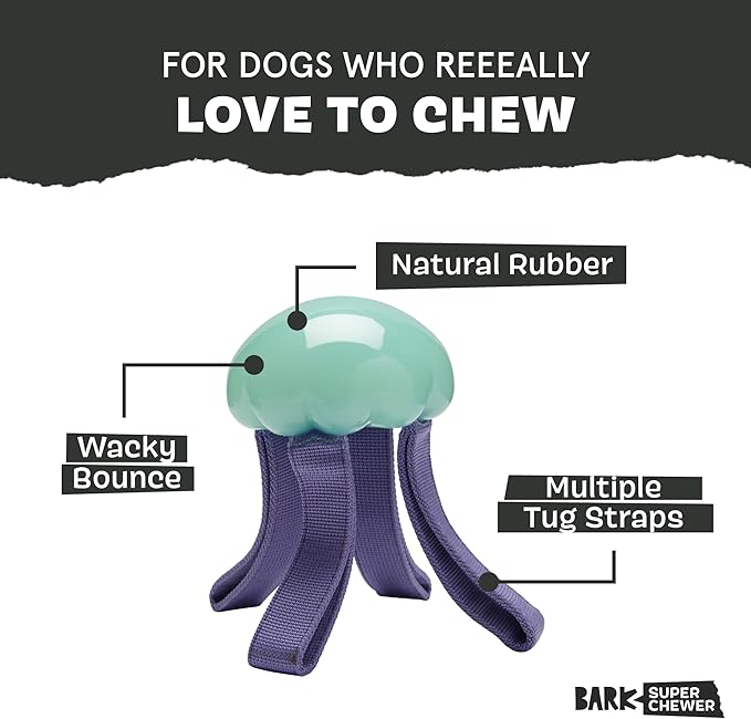 Barkbox Jelly Fetch Dog Toy for Medium Dogs – Perfect for Tug and Fetch Play, Durable Design with Strong Nylon Straps for Long-Lasting Fun