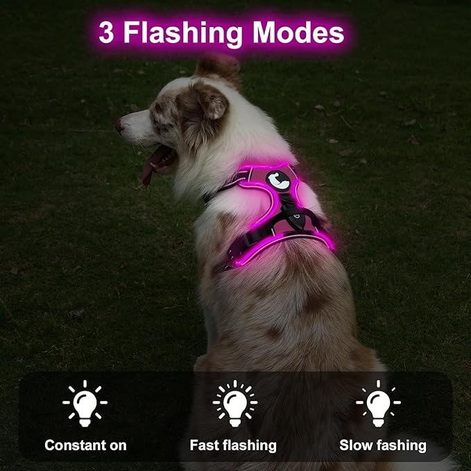 Taglory Light Up Dog Harness, Rechargeable No Pull Dog Vest with 3 Lightning Modes, Reflective Dog Harness with 2 Leash Clips & 4 Adjustable Slide Strips for Small Dogs, Hotpink-Hotpink, S