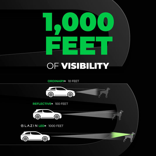 BLAZIN Light Up Dog Leash LED - 1,000 Feet of Visibility - USB Rechargeable Waterproof Glow in The Dark Dog Leash - 6 Foot, Orange