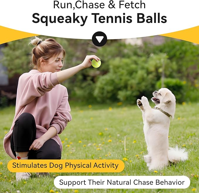 susu & wuwu 12 Pack Squeaky Balls for Small Dogs, 2 Inch Small Tennis Balls Interactive Fetch Dog Toy, Non-Toxic Durable Puppy Chew Toys for Teething, Training, Playing, Throwing