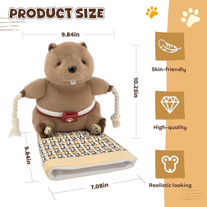 Cat Wrestling Glove, Cats Puppet Wrestler with Tough Padding for Safe Interactive Play, Cat Wrestling Toy Puppet with Cats Teaser and Bell for Boredom Busting Training and Exercise