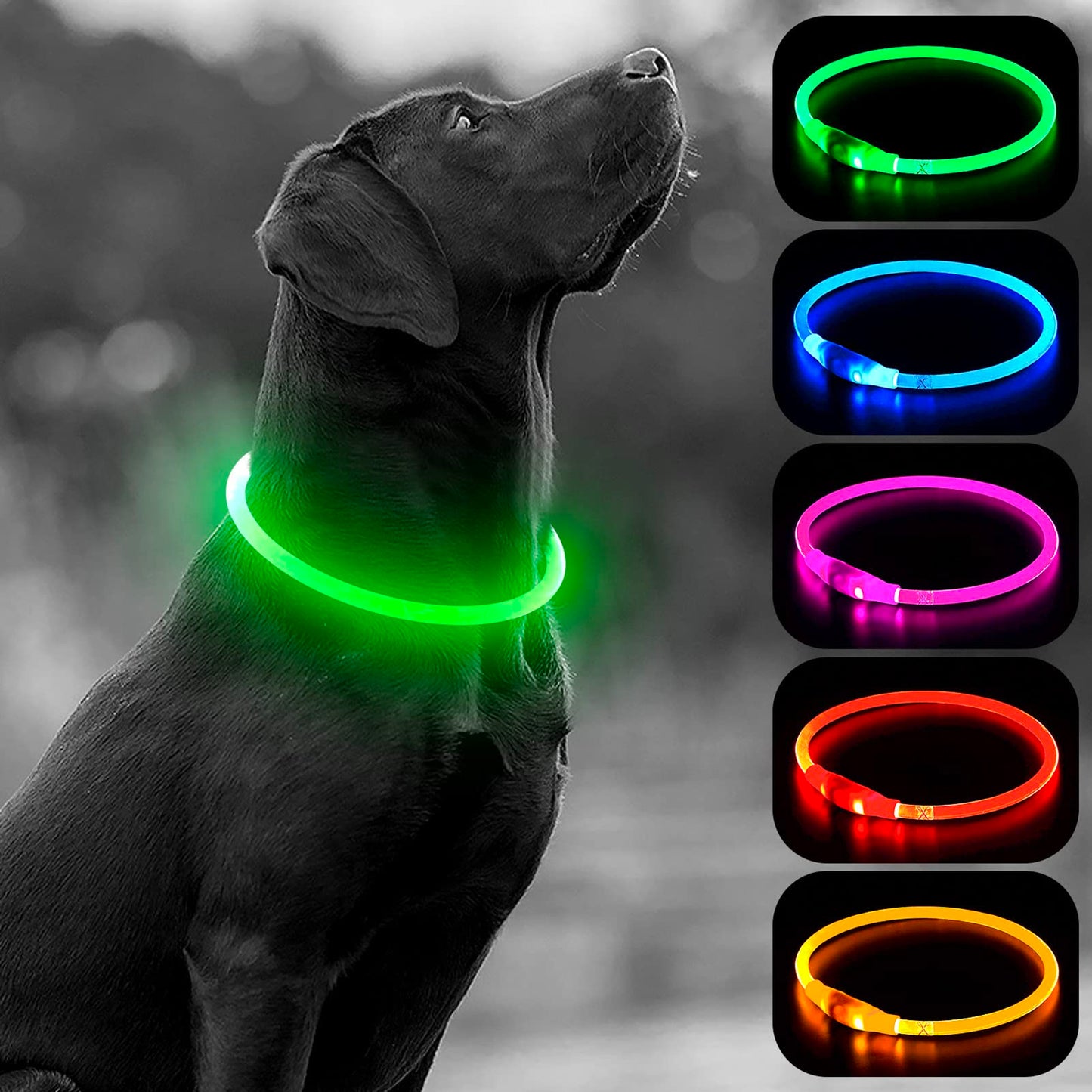 HIGO Light Up Dog Collars, USB Rechargeable LED Dog Collar, TPU Cuttable Dog Glow Collar, High Visibility Puppy Collar Safety Dog Lights for Night Walking(Green)