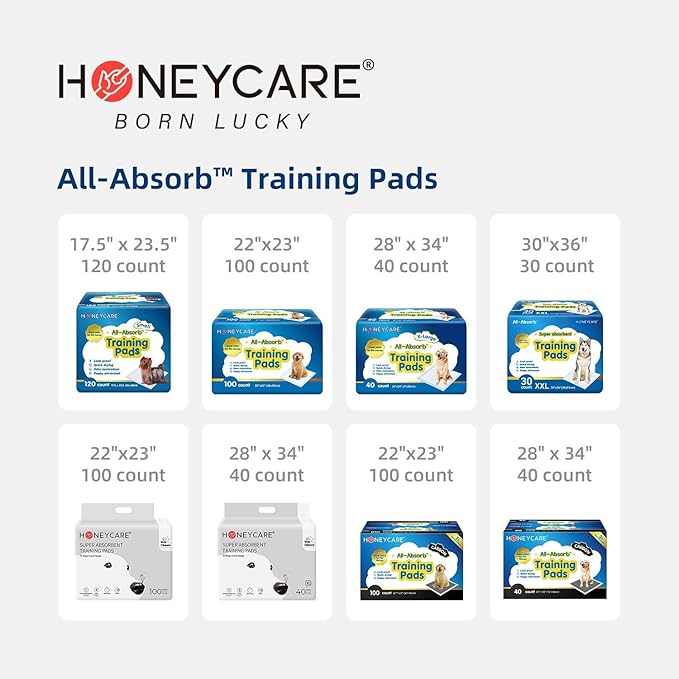 HONEY CARE All-Absorb Puppy Training Pads | Doggie Potty Pads Absorb Eliminating Urine Odor, Ultra Charcoal Dog Pee Pad (Carbon, L 22x23 inch, 100ct)