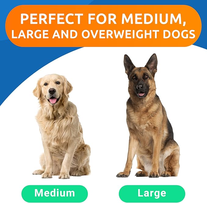 Glucosamine Chondroitin Dog Hip & Joint Supplement - Joint Pain Relief - Hip & Joint Chews for Dogs - Joint Support Large Breed - Senior Doggie Vitamin Pills Joint Health - (360 Treats - Chicken)