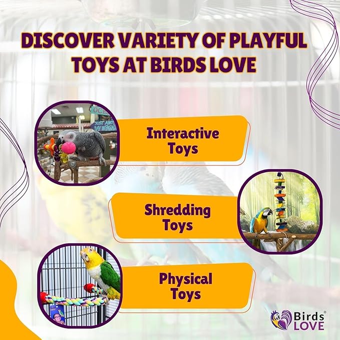 Birds LOVE Wood Stars & Leather Toy for Bird Cage Stand or Playgym, Bird Toys for Small to Medium Parrots, Sun Conures, Green Cheeked Conures, Quakers, Parakeets, Caiques, Cockatiels, African Senegals