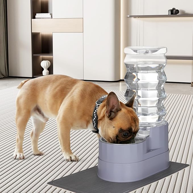 RIZZARI Large Water Dispenser for Dogs: 8L Automatic Stainless Steel Gray Gravity Raised Pet Feeder for Pet Dogs Indoor/Outdoor
