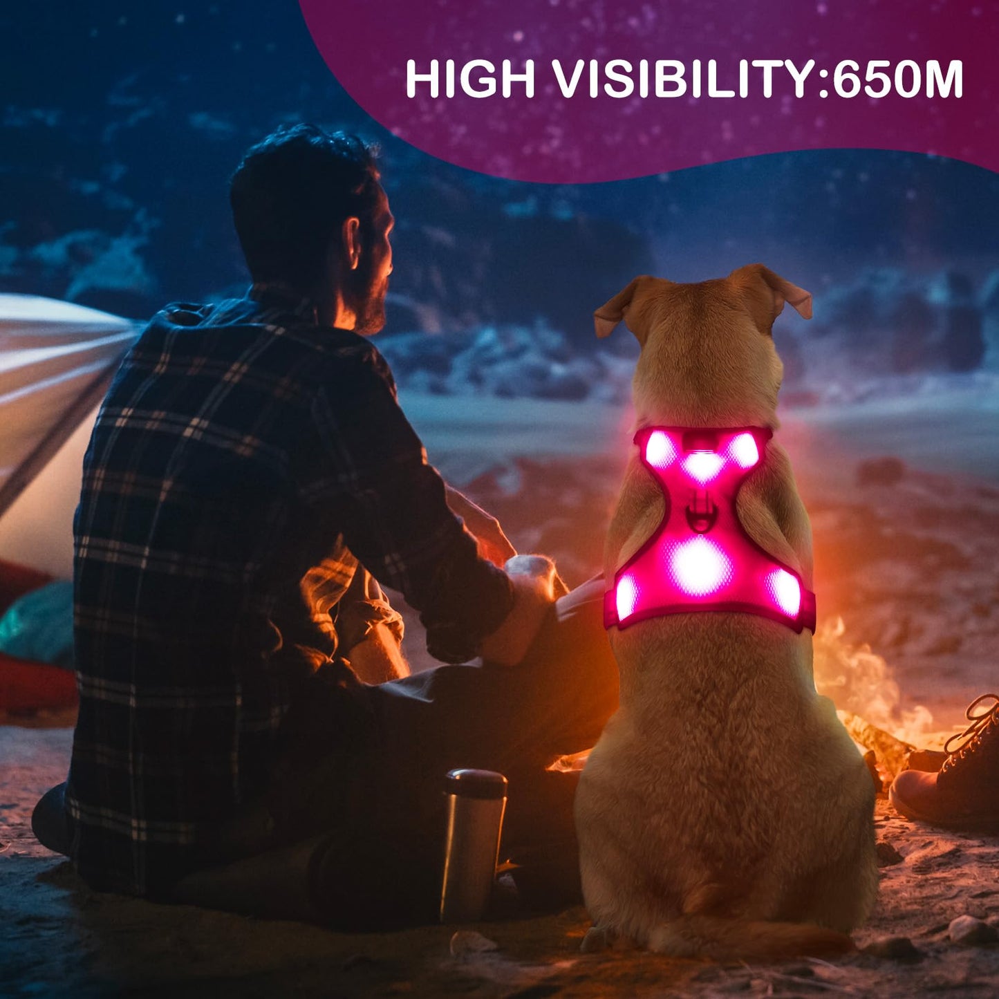 BSEEN Light Up Dog Harness - No Pull LED Dog Harness Rechargeable Glow in The Dark Lighted Pet Safety Vest for Small Medium Large Dogs, Flashing Dog Lights for Night Walking (Pink, Medium)