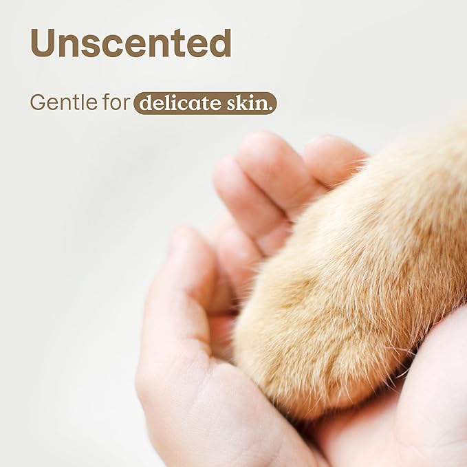 ATTITUDE Soothing Oatmeal Shampoo for Cat and Dog, Plant and Mineral-Based Ingredients, Vegan and Cruelty-Free Products for Pet, Soothing, Unscented, 16 Fl Oz (Pack of 4)