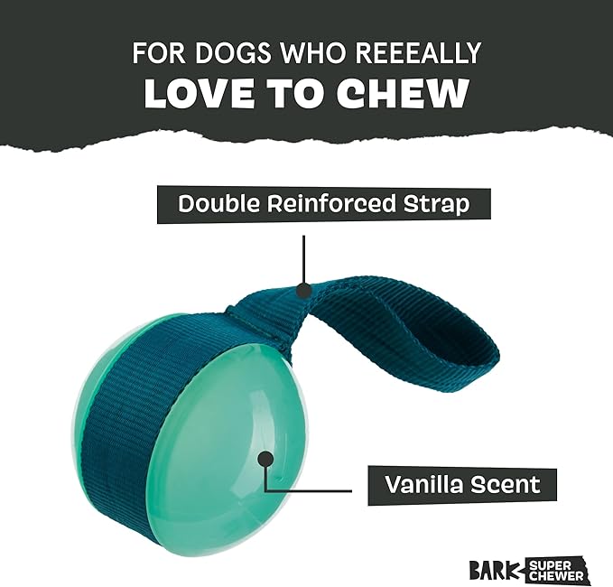Barkbox Super Chewer Rope Dog Toy for Aggressive Chewers with Reinforced Strap (Tailspin - Large)
