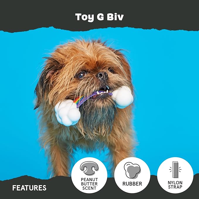 Barkbox Dog Toys – Toy G BIV Rainbow Super Chewer Tug Toy for Enthusiastic Chewers with Double Reinforced Strap and Tough Rubber Clouds – Small