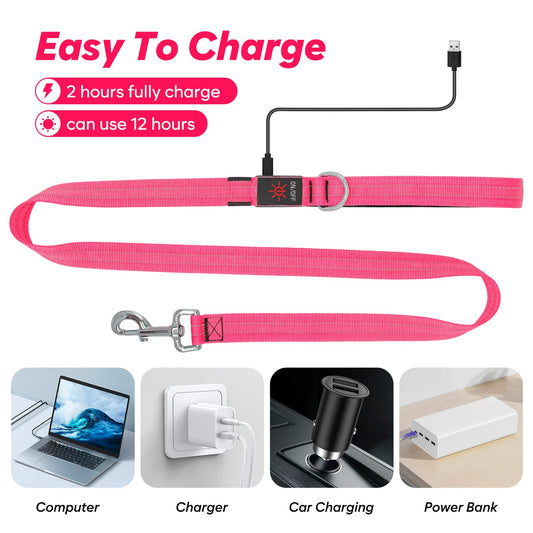 KOSKILL 4 Ft Led Dog Leash, Rechargeable Light Up Dog Leash Waterproof, Safety Glow in The Dark Dog Leash for Night Walking, Nylon Reflective Leashes with Padded Handle for Small Medium Large Pets