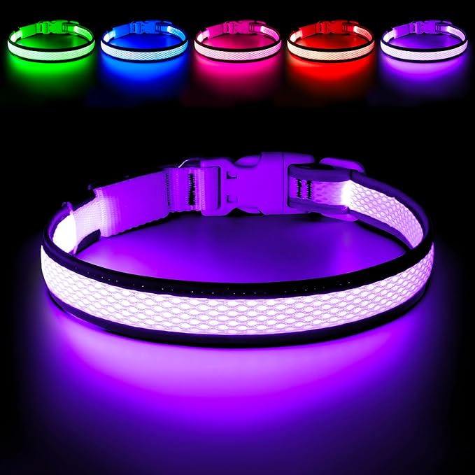 LED Dog Collar, Light Up Dog Collar USB Rechargeable, Brightest Dog Lights for Night Walking, Adjustable Dog Collar Light for Dog Safety (Purple, Medium)