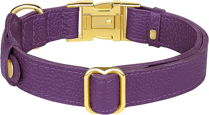 Leather Airtag Dog Collar - Soft Tracking Dog Collar with Apple AirTag Holder and Metal Buckle - Safety GPS Pet Collars for Small Medium Large Dogs Puppy Pink Red (Purple, XS, 9"-12" Neck Fit)