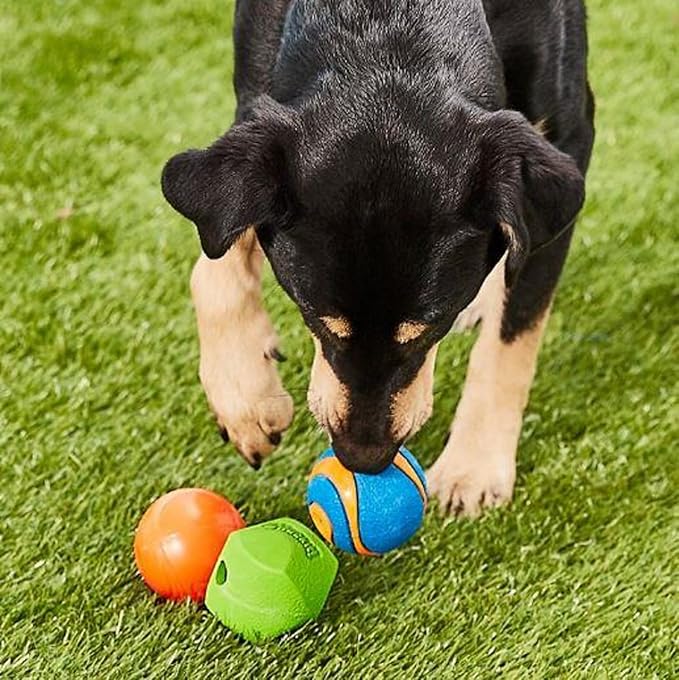 Chuckit! Fetch Pack Dog Ball Dog Toys, Medium (2.5 Inch) Pack of 3, for Medium Breeds, Includes Erratic, Strato and Ultra Squeaker Balls