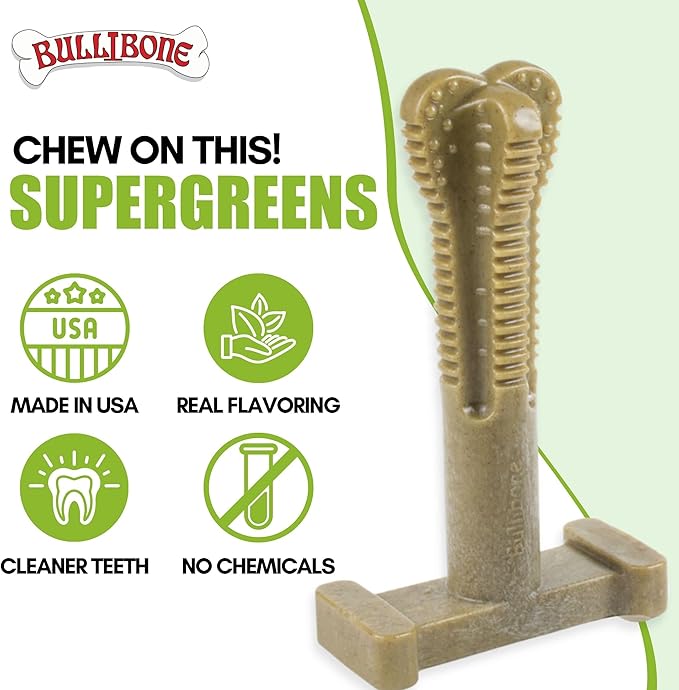 Bullibone SuperBrush: Dog Teeth Cleaning Brushing Toothbrush Stick - Long Lasting Nylon Super Greens Chew Toy for Oral Care and Dental Health