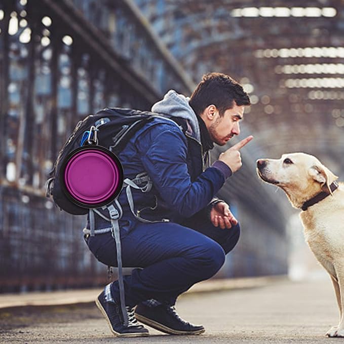 Guardians Large Collapsible Dog Bowls, 34oz Travel Water Food Bowls Portable Foldable Collapse Dishes with Carabiner Clip, 2 Pack (Blue + Purple)
