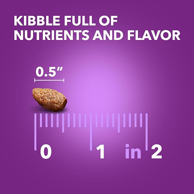 IAMS Advanced Health Skin & Coat Adult Dry Dog Food Chicken and Salmon Recipe, 13.5 lb. Bag