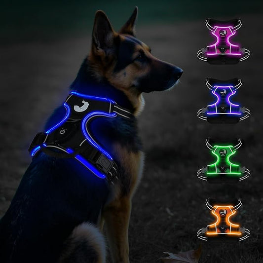 Taglory Light Up Dog Harness, Rechargeable No Pull Dog Vest with 3 Lightning Modes, Reflective Dog Harness with 2 Leash Clips & 4 Adjustable Slide Strips for Large Dogs, Black-Blue, XL