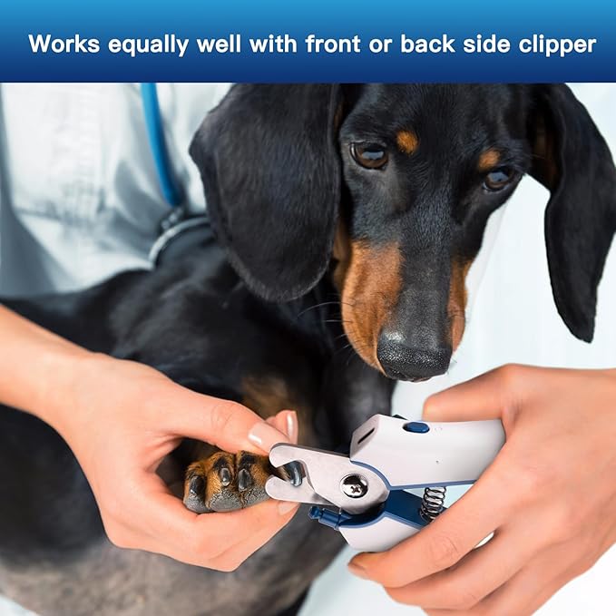 Type-C Rechargeable Dog & Cat Nail Clippers - LED Pet Nail Trimmer with Built-in Nail File, Extra Sharp Blades for Small & Medium Dogs, Indoor Cats (Blue)