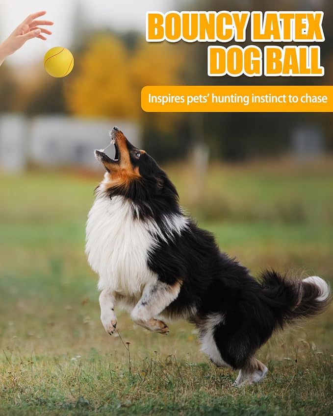 SCHITEC Squeaky Dog Toy Balls, [3 Pack] Latex Rubber Squeak Toys, 3'' Interactive Fetch Pet Ball for Medium Breed Dogs