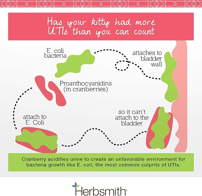 Herbsmith Bladder Care- Bladder Support for Cats- Urinary Tract Cat Supplement – Maintains Kidney Health for Cats– 75g